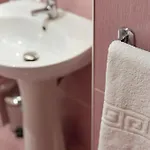 Hotel Pensiune Natural 3* Braszów