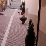 Hotel Pensiune Natural Hotel 3*