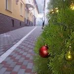 Hotel Pensiune Natural Hotel 3*