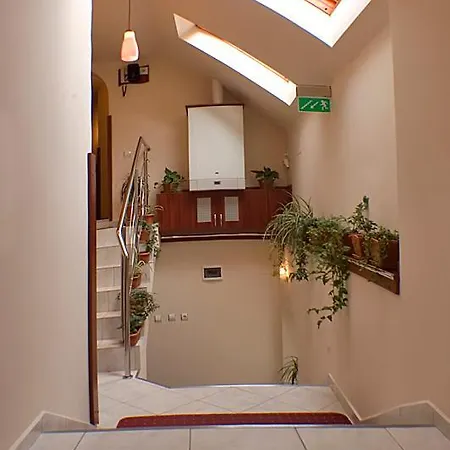 Pensiunea Natural 3* Braşov