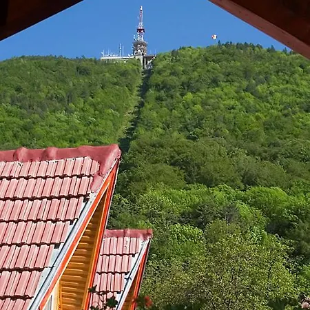 Pensiunea Natural Braşov