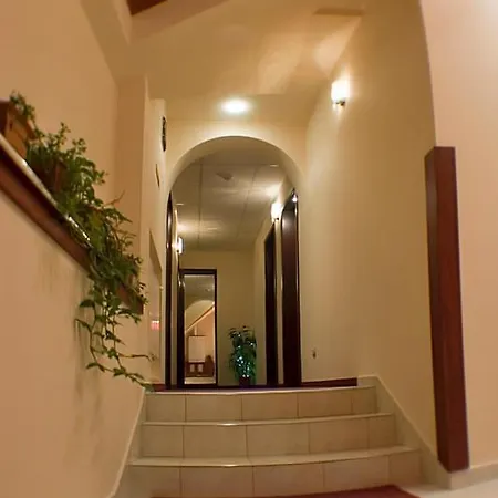 Natural براشوف