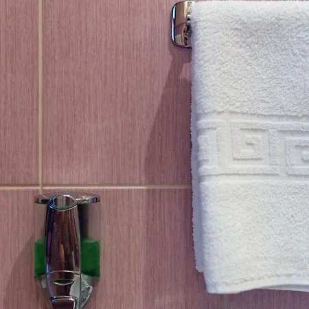 Pensiunea Natural Hotel