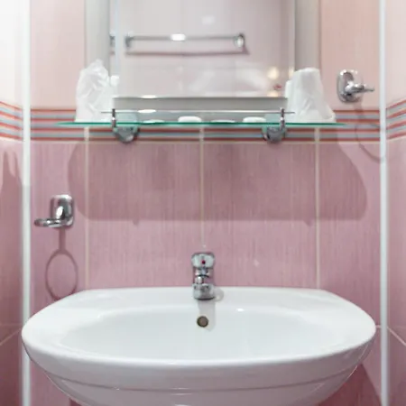 ホテル Pensiunea Natural ブラショフ