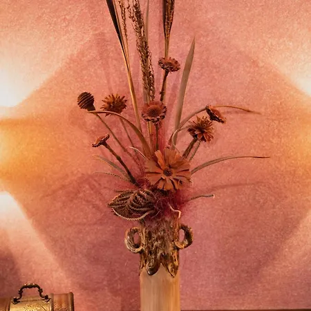 Hotel Pensiunea Natural