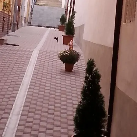 Natural فندق 3*