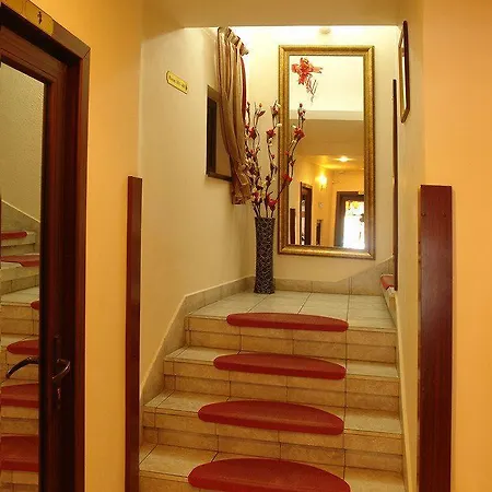 Pensiunea Natural Hotel Braşov