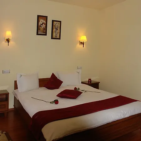 Pensiunea Natural 3* Braşov