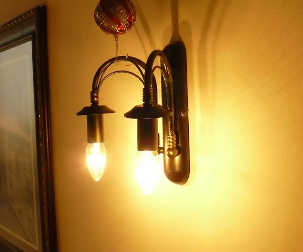 Pensiunea Natural 3* 브라쇼브