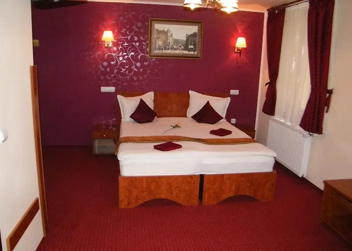 호텔 Pensiunea Natural 3*