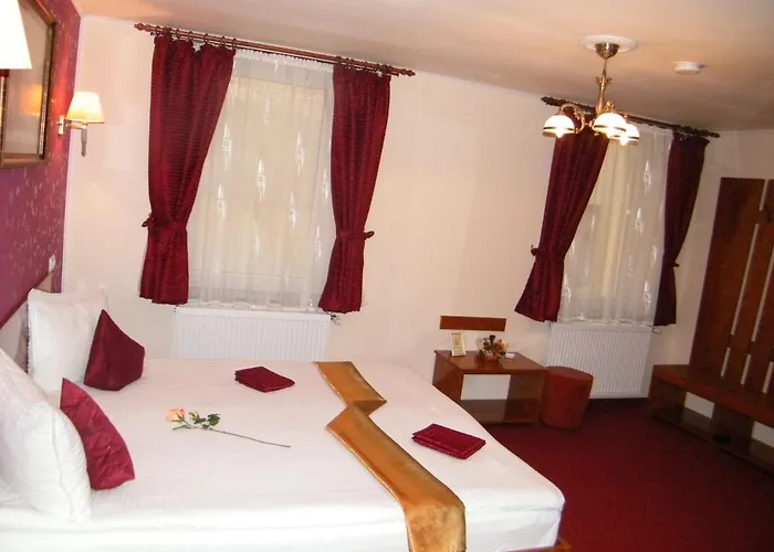 Pensiunea Natural 3*