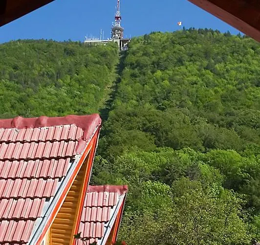 Pensiunea Natural 브라쇼브