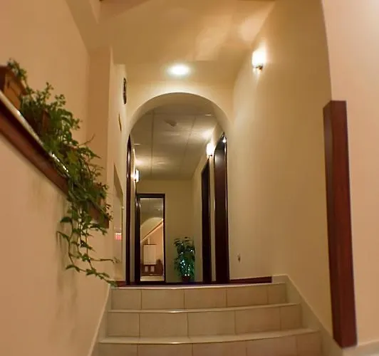 Pensiunea Natural 브라쇼브