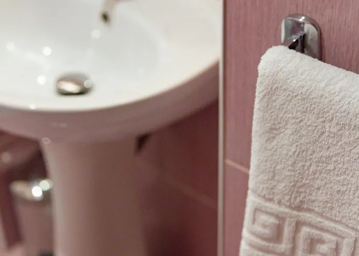 Pensiunea Natural 3* 브라쇼브