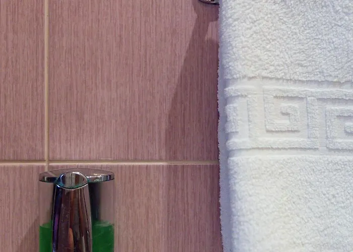 Pensiunea Natural فندق