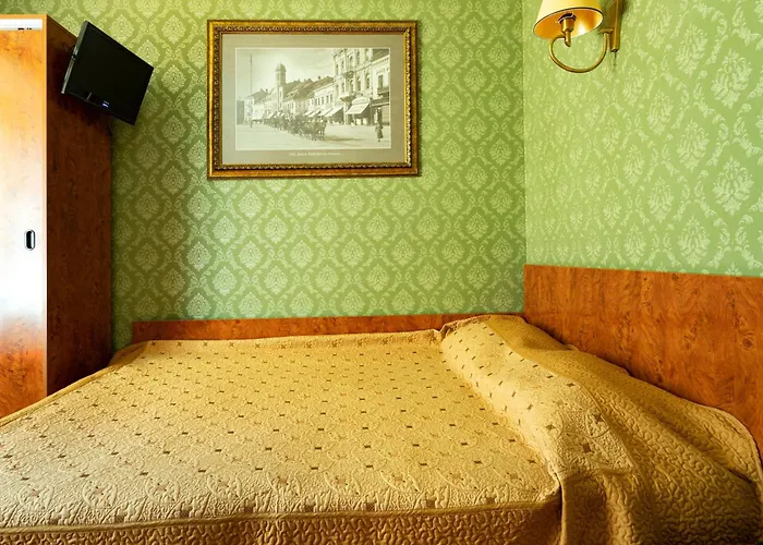 فندق Pensiunea Natural براشوف