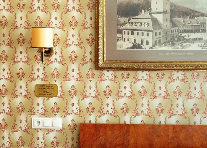 Pensiunea Natural 브라쇼브