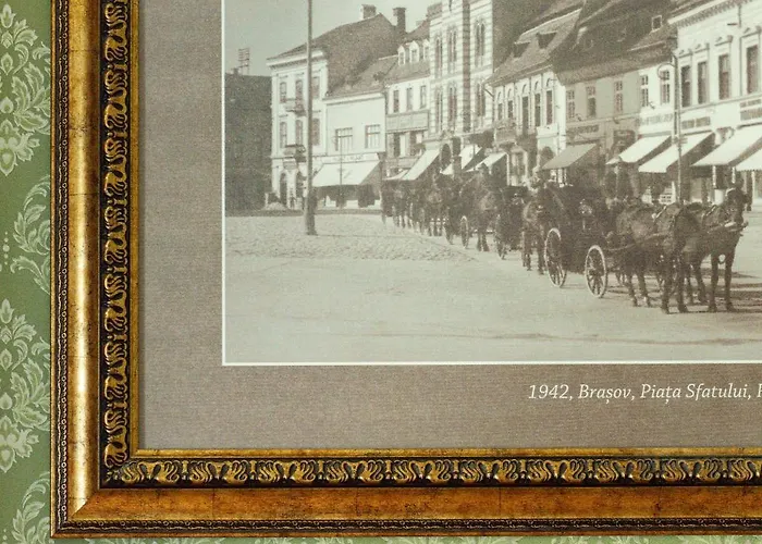 Pensiunea Natural 3* 브라쇼브