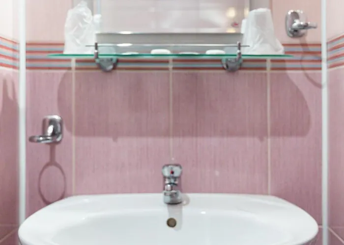 فندق Pensiunea Natural براشوف