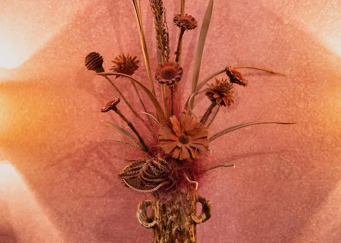 호텔 Pensiunea Natural