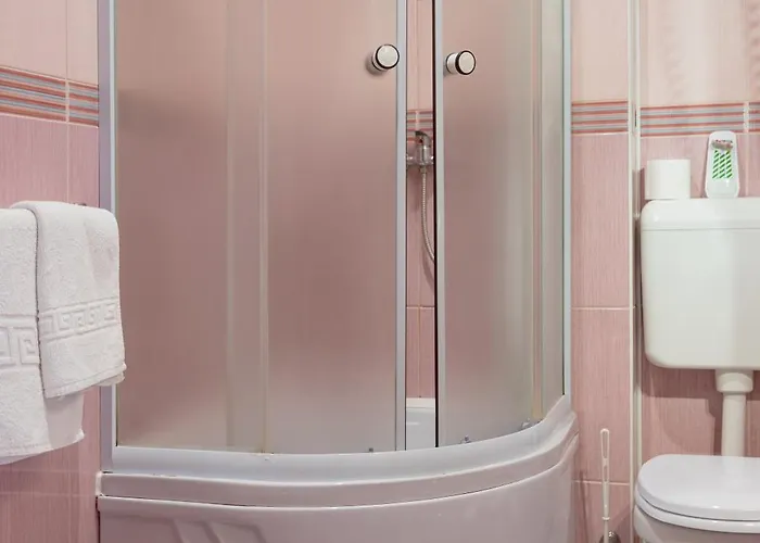 호텔 Pensiunea Natural 3*