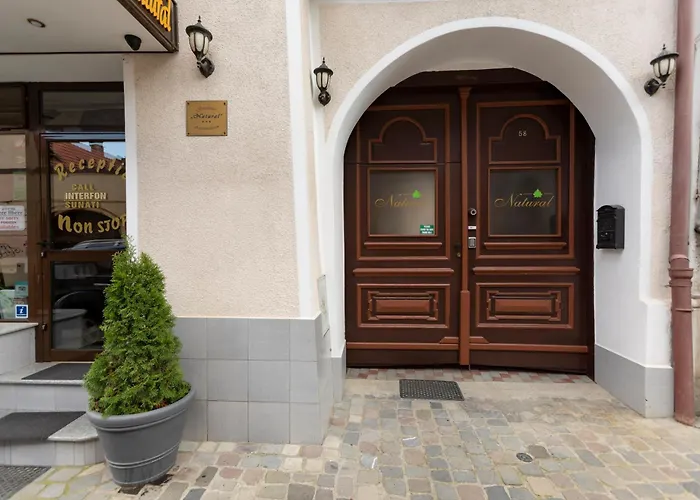 Pensiunea Natural 브라쇼브