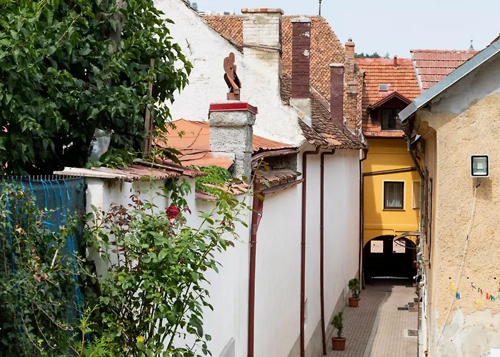 Pensiunea Natural 3*