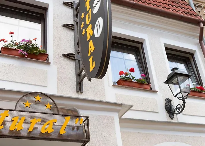 Pensiunea Natural فندق