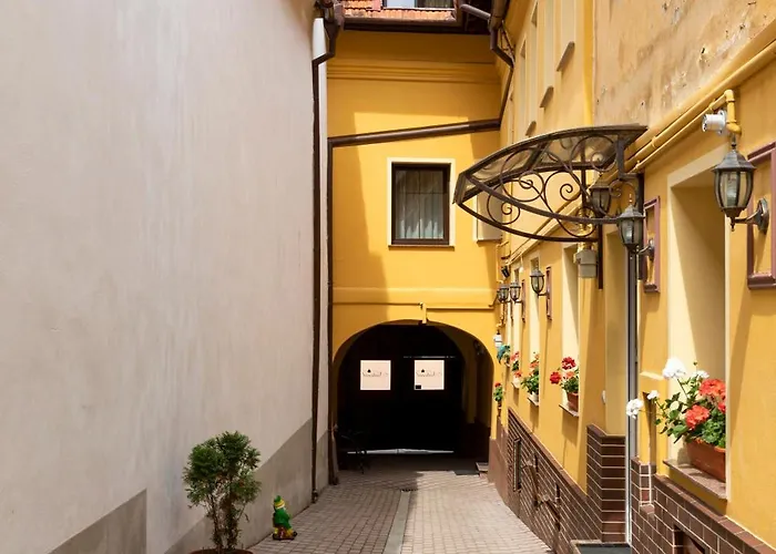 Pensiunea Natural 호텔 브라쇼브