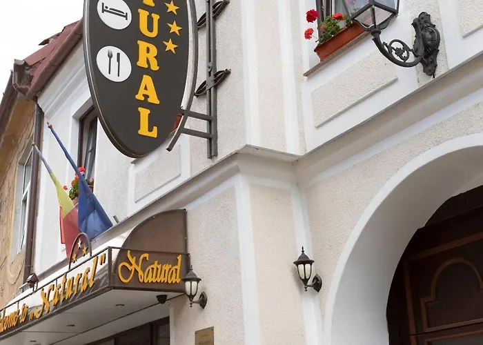 Pensiunea Natural فندق 3*