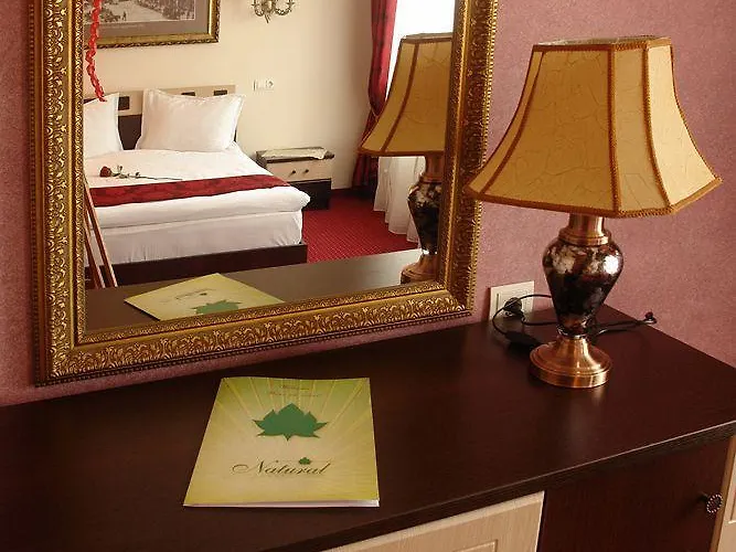 Pensiunea Natural 호텔 브라쇼브