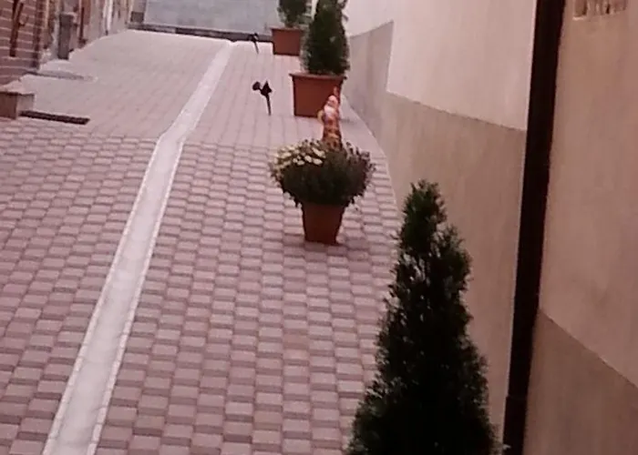 Pensiunea Natural فندق 3*