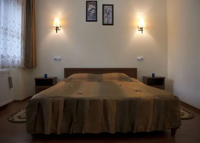 Pensiunea Natural 3*