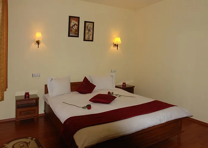 Pensiunea Natural 3* 브라쇼브