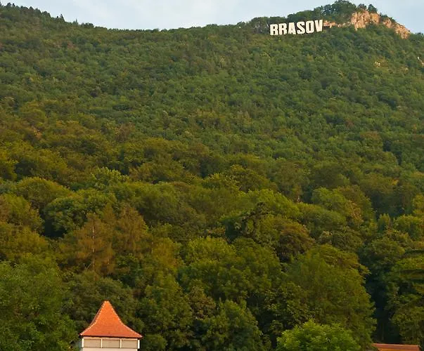 호텔 Pensiunea Natural 브라쇼브