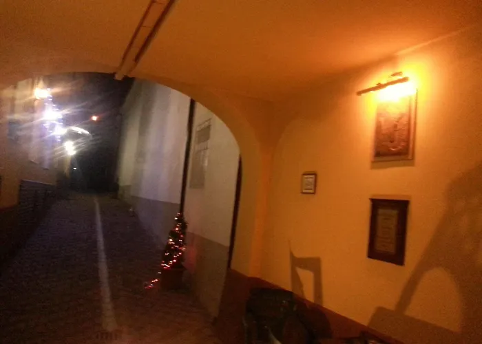 Pensiunea Natural 호텔 브라쇼브