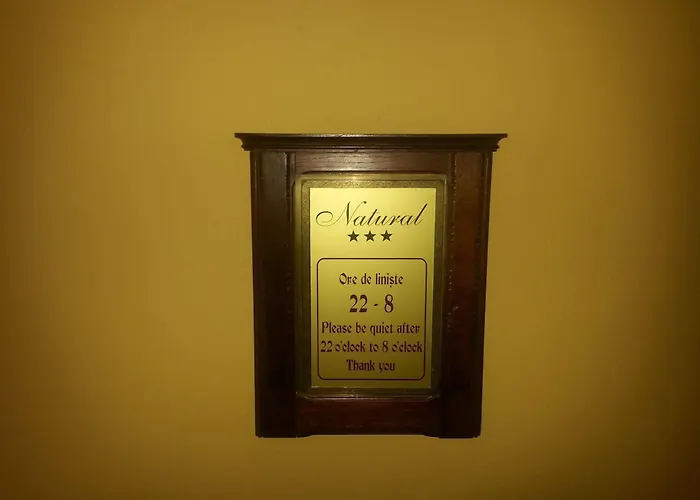 Pensiunea Natural 3*