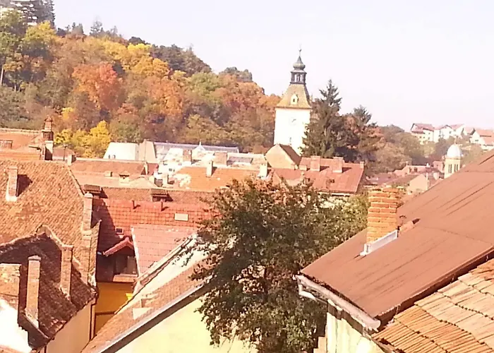 호텔 Pensiunea Natural 브라쇼브