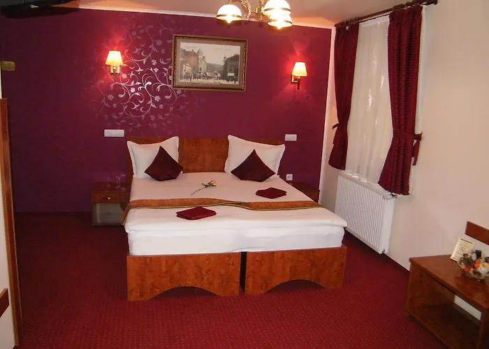 Pensiunea Natural فندق 3*